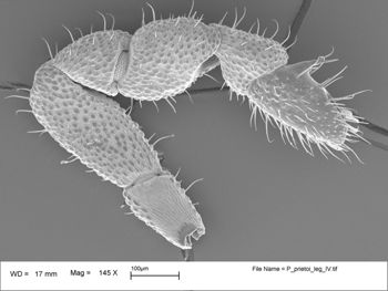 Media type: image;   Invertebrate Zoology 147385   shows cataloged_item 147385